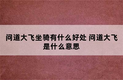 问道大飞坐骑有什么好处 问道大飞是什么意思